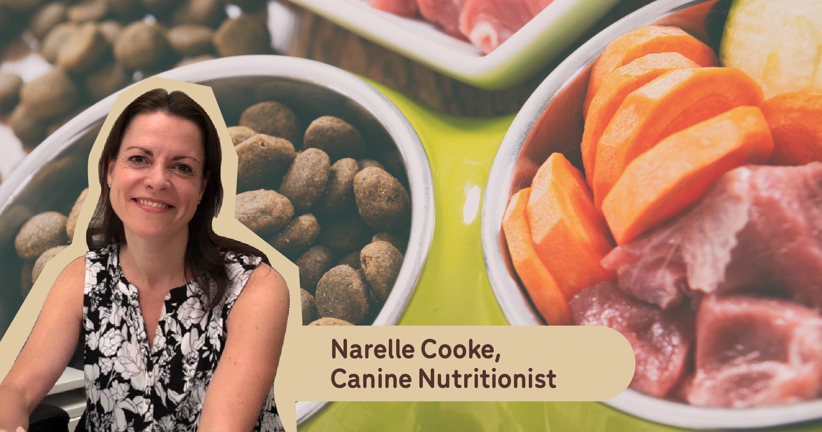 Hidden Sugars in Commercial Pet Foods Guides Big Dog Pet Foods